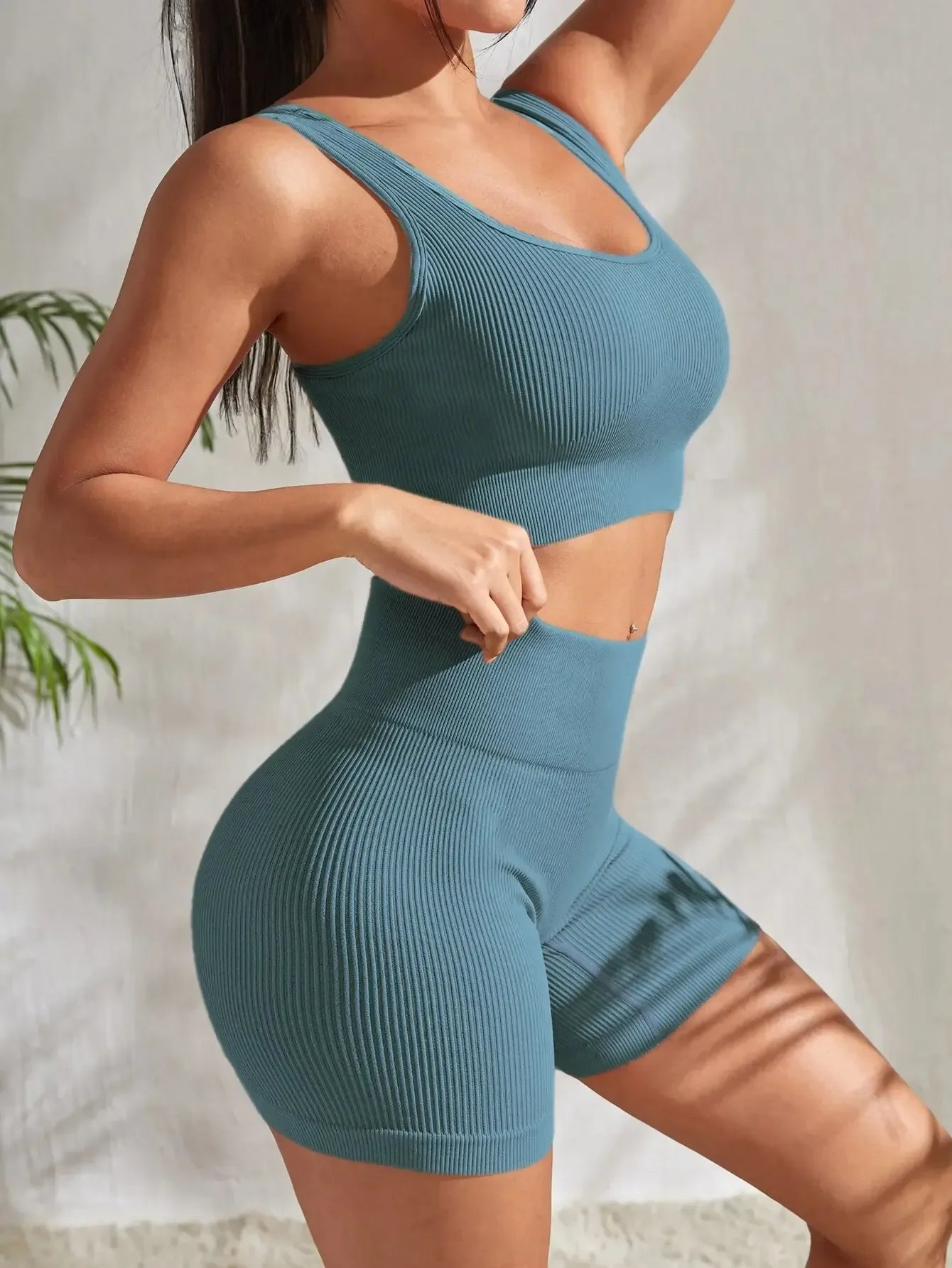 Angela Seamless Ribbed Workout Set