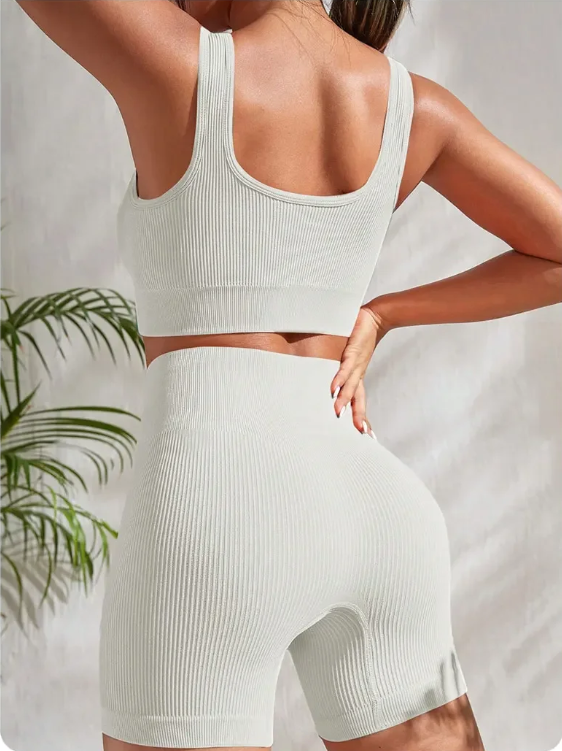 Angela Seamless Ribbed Workout Set