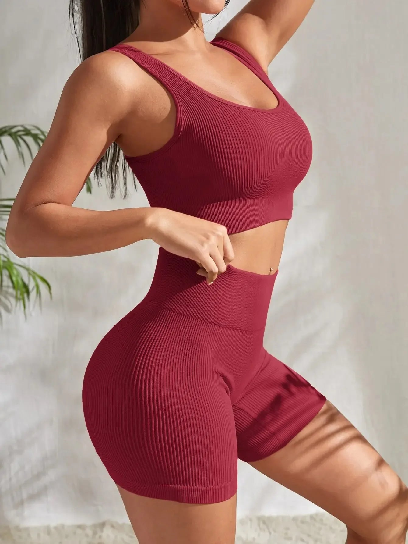 Angela Seamless Ribbed Workout Set